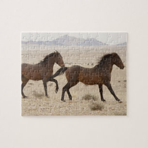 Namibië, Aus. Wilde paarden rennen op de Namib Legpuzzel