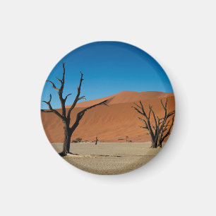 Namibië - Bomen met petrificatie bij de Dead Vlei Magneet