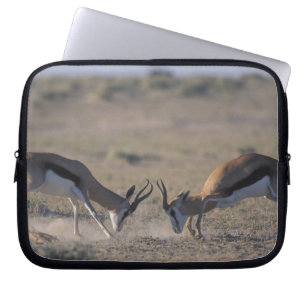 Namibië, nationaal park Etosha, twee mannen Laptop Sleeve
