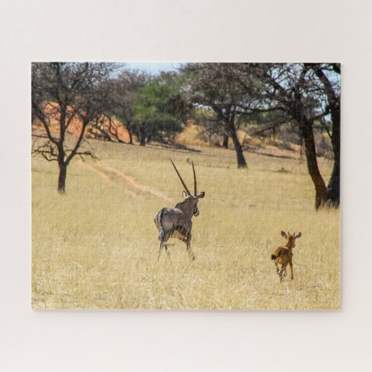 Namibie Safari Jigsaw Puzzle - oryx sauvage (Horizontal)