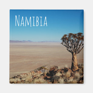 Namibië Tirool Namib Woestijnlandschap Kokerboom Magneet