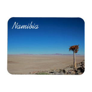 Namibië Tirool Namib Woestijnlandschap Kokerboom Magneet