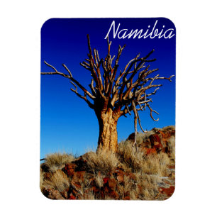 Namibië Tirool Namib Woestijnlandschap Kokerboom Magneet