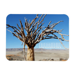 Namibië Tirool Namib Woestijnlandschap Kokerboom Magneet