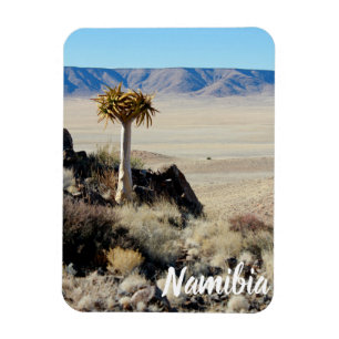 Namibië Tirool Namib Woestijnlandschap Kokerboom Magneet