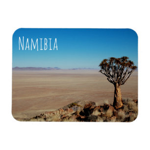 Namibië Tirool Namib Woestijnlandschap Kokerboom Magneet