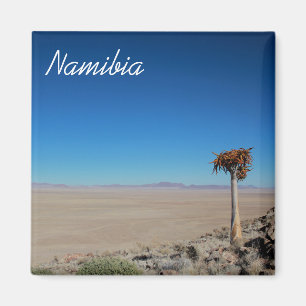 Namibië Tirool Namib Woestijnlandschap Kokerboom Magneet
