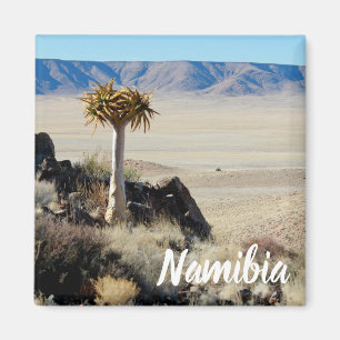 Namibië Tirool Namib Woestijnlandschap Kokerboom Magneet