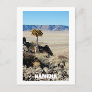 Namibië Tirool Namib Woestijnlandschap Natuur Briefkaart