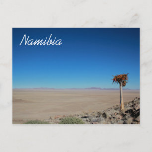 Namibië Tirool Namib Woestijnlandschap Natuur Briefkaart