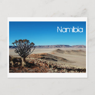 Namibië Tirool Namib Woestijnlandschap Natuur Briefkaart