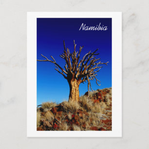 Namibië Tirool Namib Woestijnlandschap Natuur Briefkaart