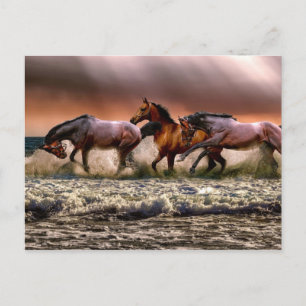 namiddag in het Surf Briefkaart