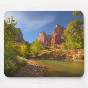 namiddag in Zion National Park Muismat