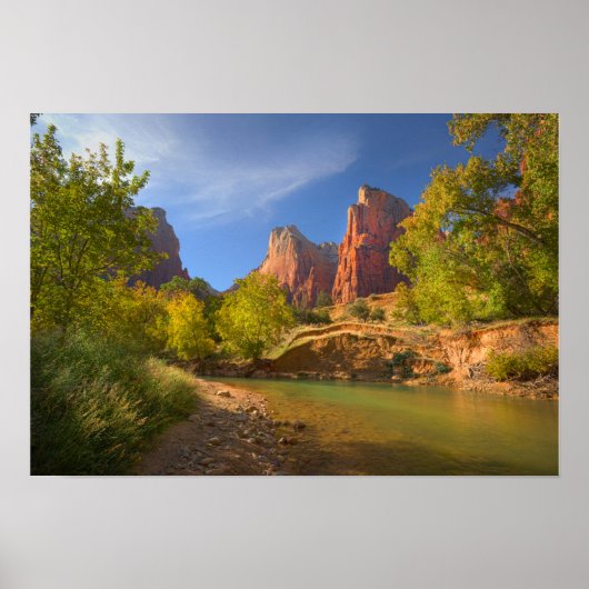 namiddag in Zion National Park Poster (Voorkant)