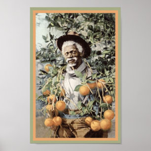  Nan uit zwart-Amerika in Oranje Grove Poster