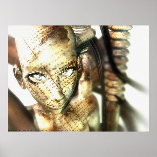 nanacier poster (Voorkant)