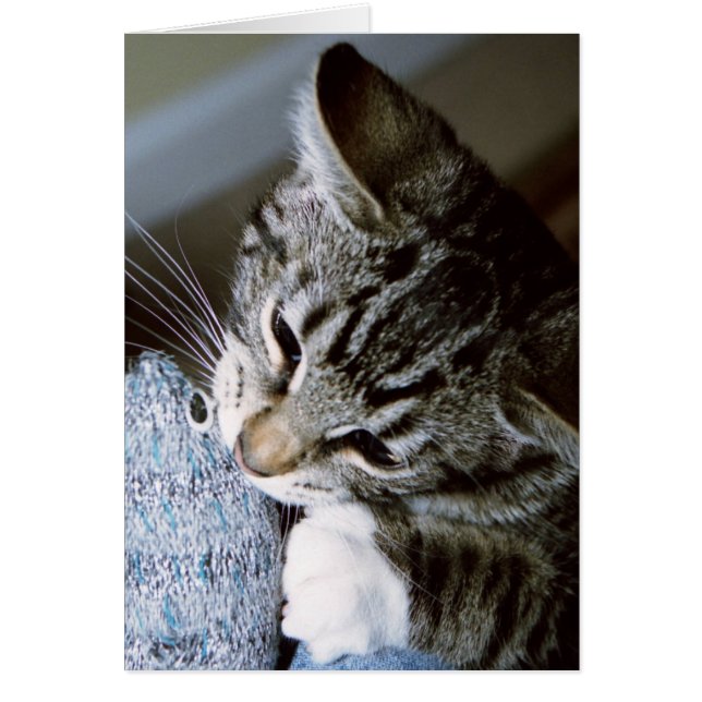 nancy met muis (Voorkant)