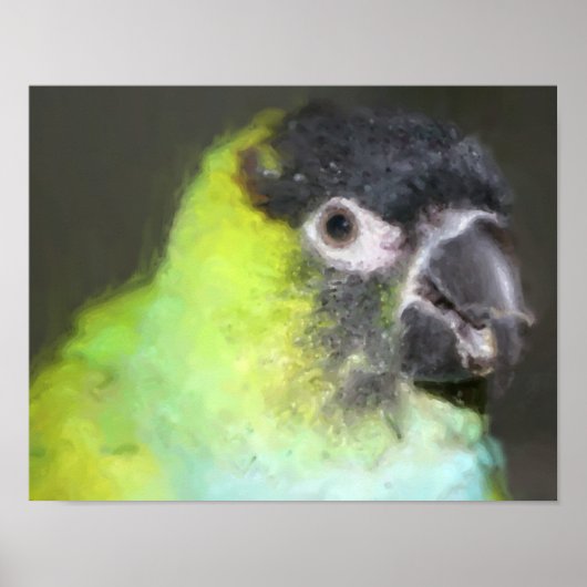 Nanday Conure Parrot Fotoschilderij Poster (Voorkant)