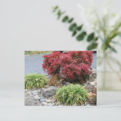 Nandina en Agapanthus Aankondigingskaart (Staand voorkant)