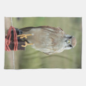 Nankeen Kestrel Theedoek (Horizontaal)