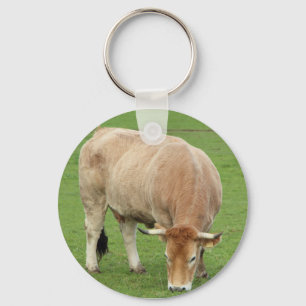 Nantaise-koe in een veld sleutelhanger