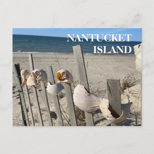 Nantucket Beach Shells on a Fence Briefkaart (Voorkant)