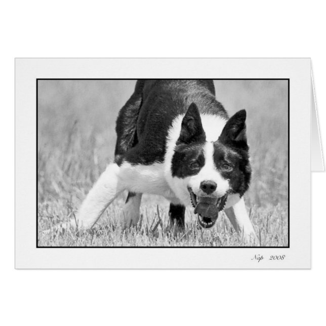 Nap (Voorkant Horizontaal)