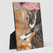 Nap Buddies Fotoplaat (Zijkant)