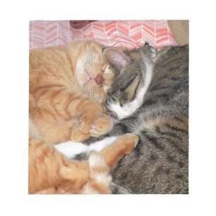 Nap Buddies Notitieblok