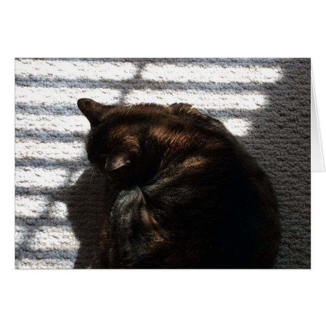 Nap de midi, carte (Devant horizontal)