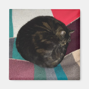 Nap Heure Dave Magnet Carré