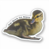 Nap. Kwakzalver. Eet. Herhaal. - wilde eendje Sticker (Voorkant)