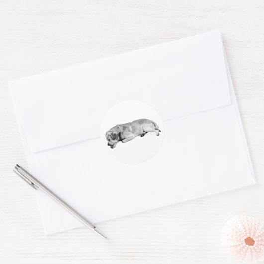 NAP-mentor Ronde Sticker (Envelop)