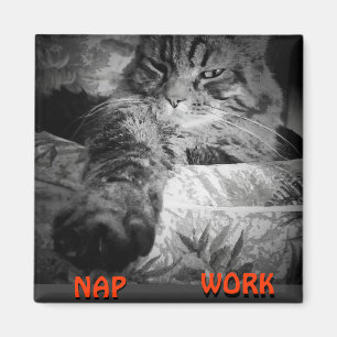 Nap of werk? Kat zegt "dutje" meme Magneet