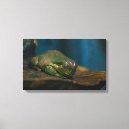 Nap Tijd Canvas Afdruk