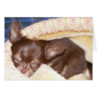 Nap Time - blank binnenin