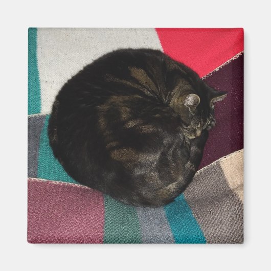 Nap Time Dave Square Magnet Magneet (Voorkant)