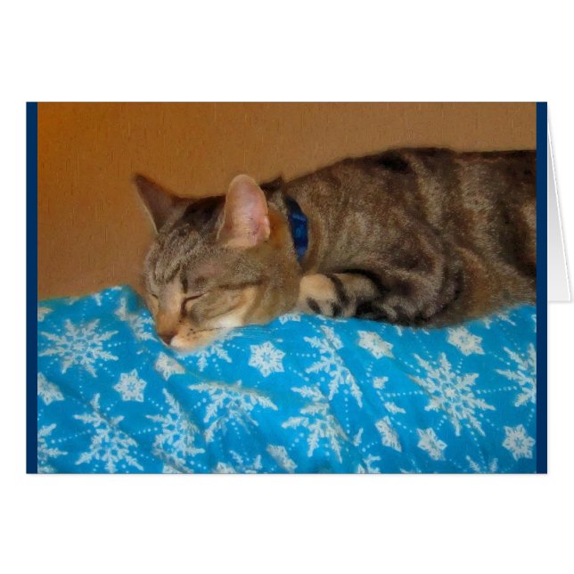 Nap Time for Indigo (Voorkant Horizontaal)