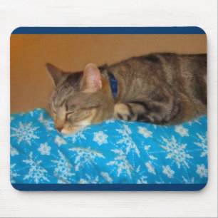 Nap Time for Indigo Muismat