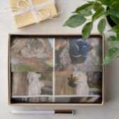 Nap Time Sleeping Animals Koala Decoupage Foto Tissuepapier (Geschenk)