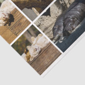 Nap Time Sleeping Animals Koala Decoupage Foto Tissuepapier (Detail)