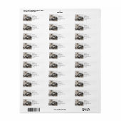 Nap Time Tabby | ABSTRACT | WATERVERF Etiket (Full Sheet)