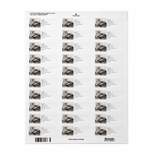 Nap Time Tabby | ABSTRACT | WATERVERF Etiket (Full Sheet)