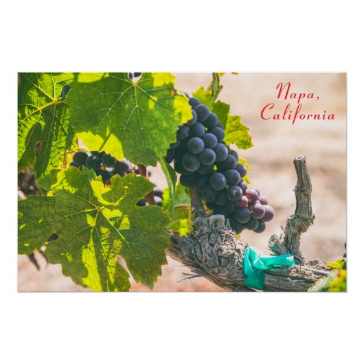 Napa, Californië Perfect Poster (Voorkant)