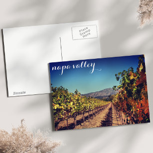 Napa Valley Automne Harvest Vignoble Carte postale