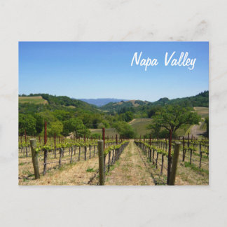 Napa Valley Briefkaart