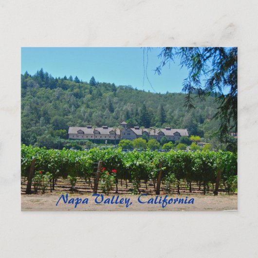 Napa Valley California Vineyard Briefkaart (Voorkant)
