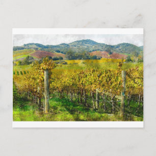 Napa Valley California Vineyard Briefkaart