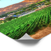 Napa Valley California Vineyard  Poster (Hoek)